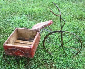Vintage Trike with Wooden Box dried flower branch  