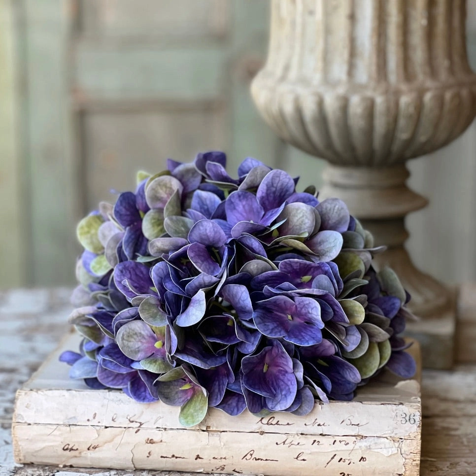 Violet Haze Hydrangea Stem
