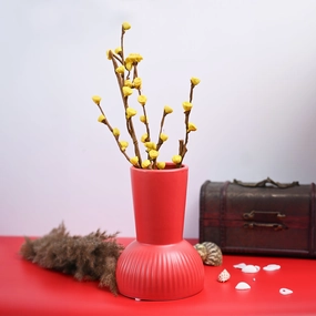 VON CASA Ceramic Red Vase dried green plant  