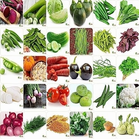 Vrisa Green 30 Varieties 1700  Vegetable Seeds small bud vase  