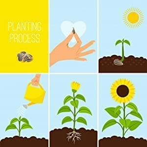 Vrisa Green 30 Varieties 1700  Vegetable Seeds