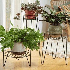Wagner Plant Stand Black plant seeds  