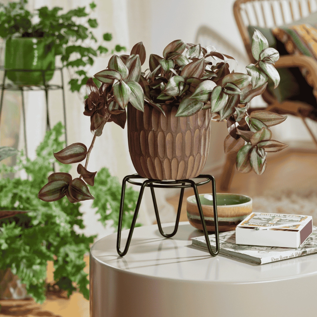 Wagner Plant Stand indoor/outdoor Black Metal