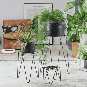Wagner Plant Stand indoor/outdoor Black Metal plant seeds  