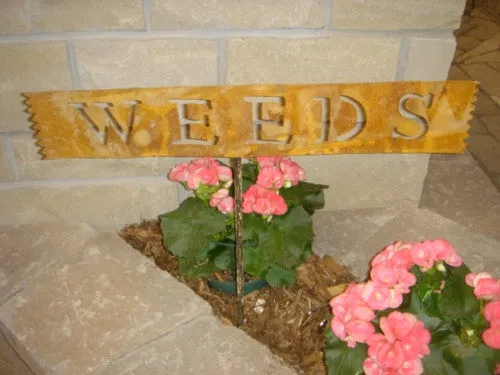WEEDS SIGN dried flower branch  