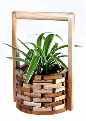Well Planter Indoor (15X17X25cm) shade perennial  