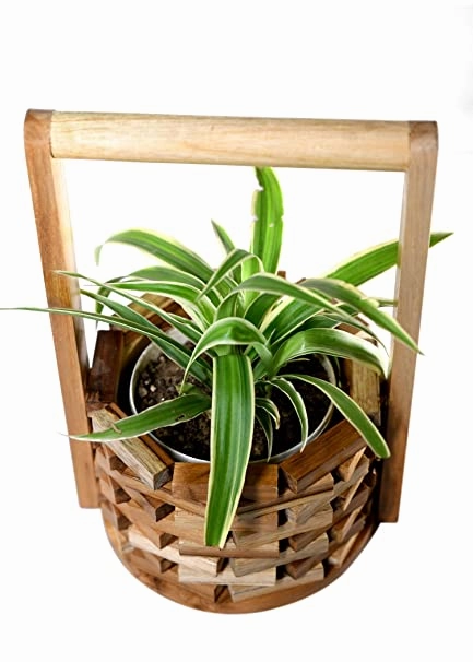 Well Planter Indoor (15X17X25cm)