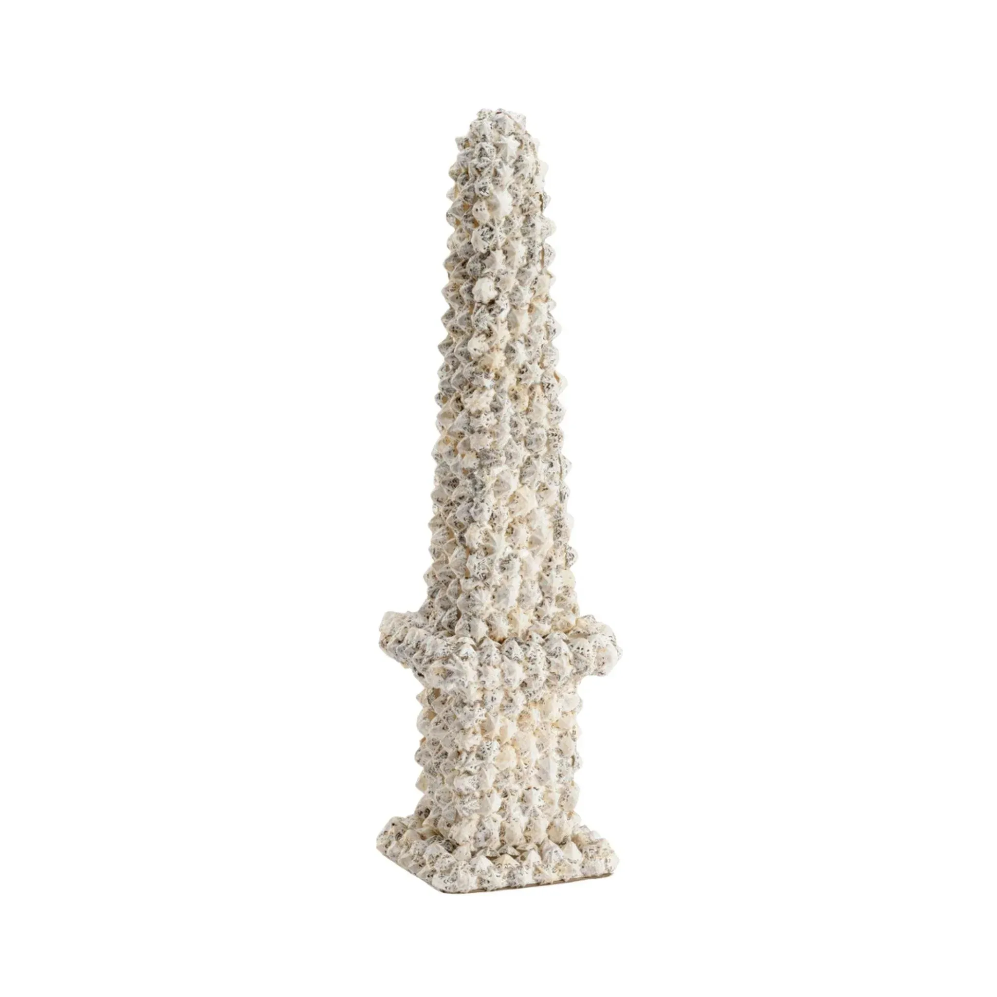 White and Black Shell Obelisk dried flowers  