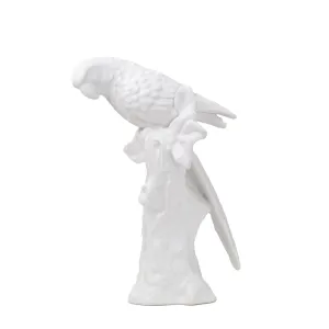 White Ceramic Parrot dried flowers  