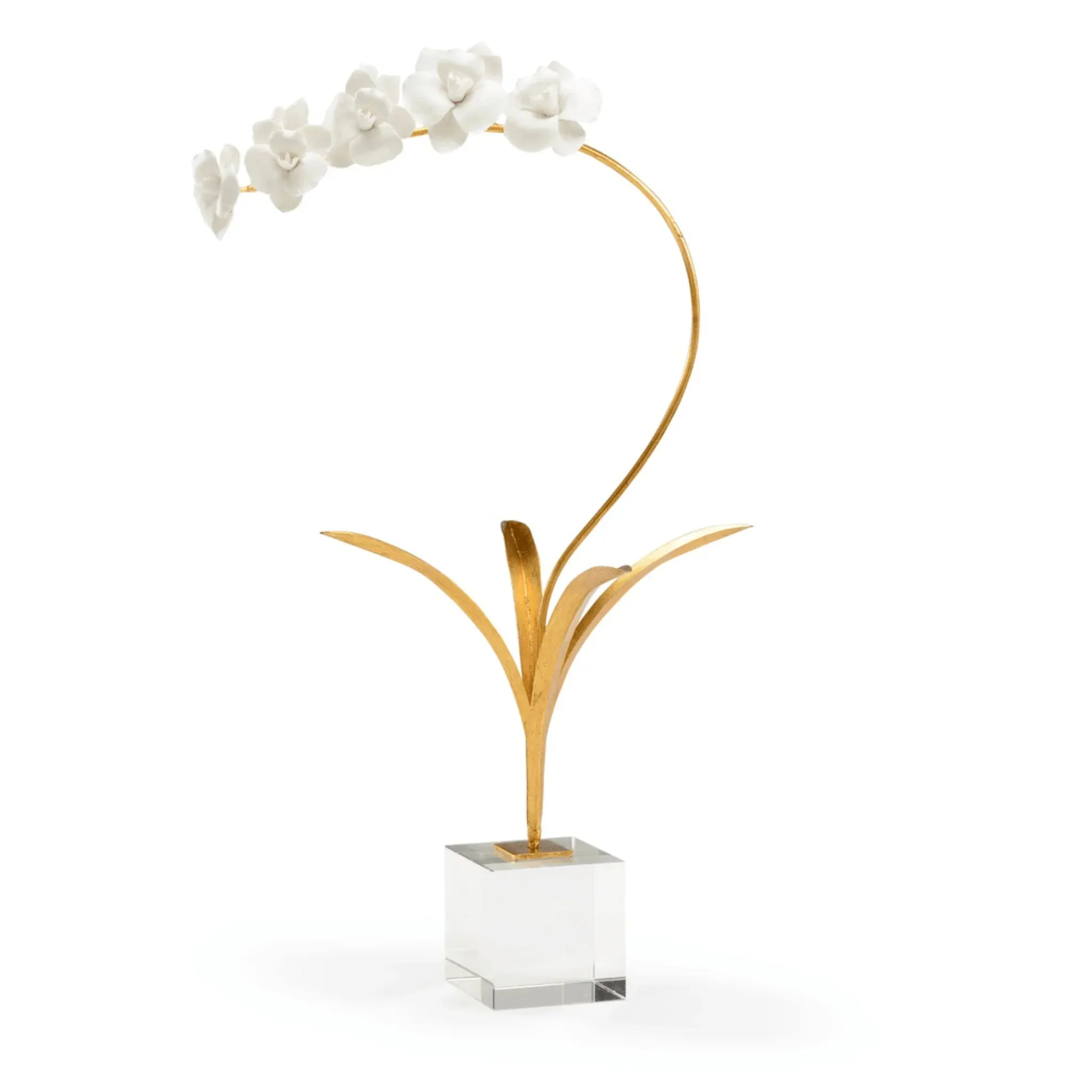 White Porcelain Orchid In Stand dried flowers  