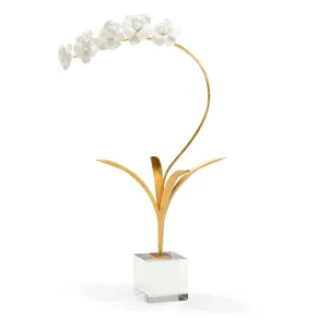 White Porcelain Orchid In Stand dried flowers  