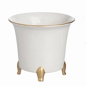 White Cachepot With Gold Accents plant seeds  