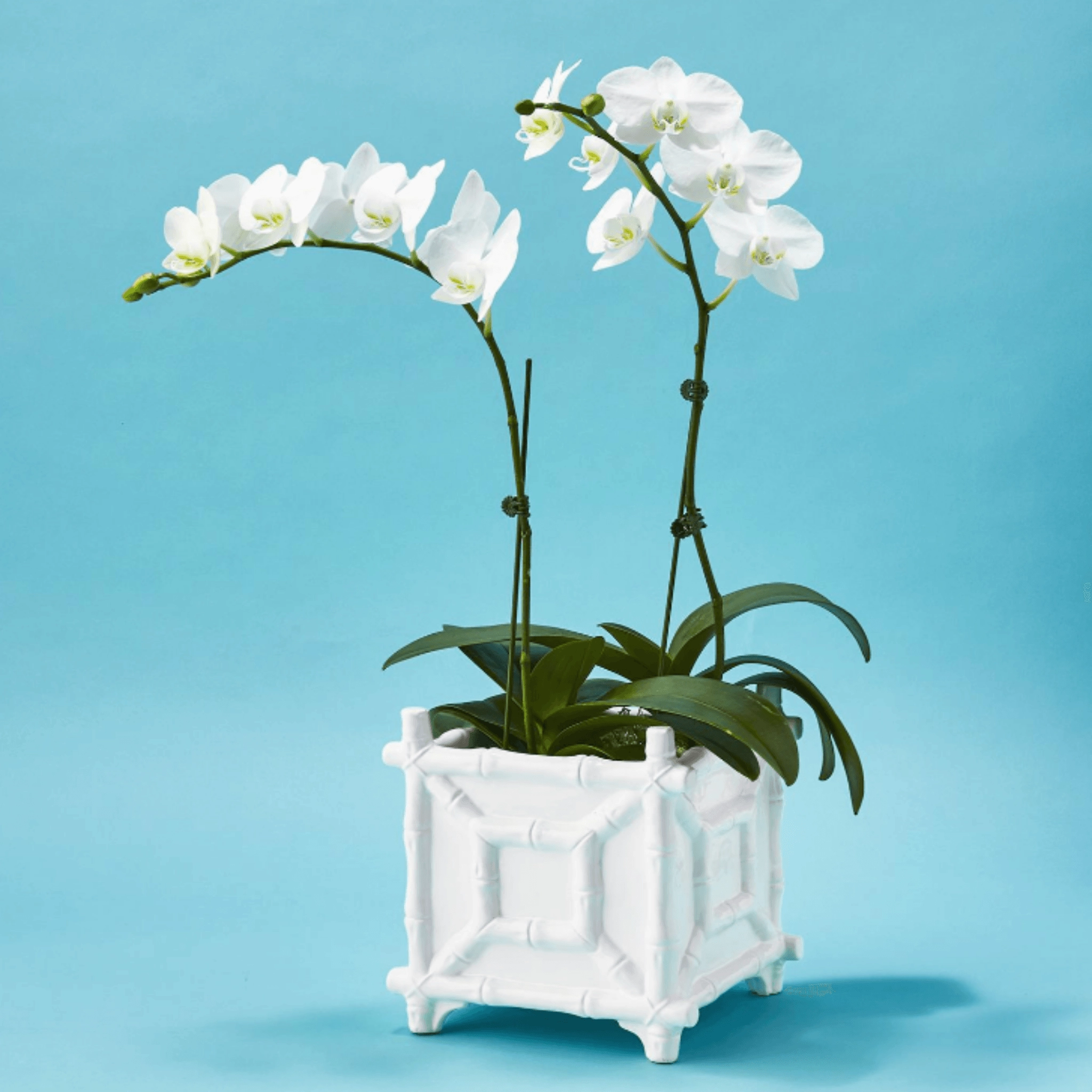 White Ceramic Faux Bamboo Fretwork Cachepot