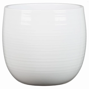White Ceramic indoor Cover Pot  Glazing White (765) tall green plant  