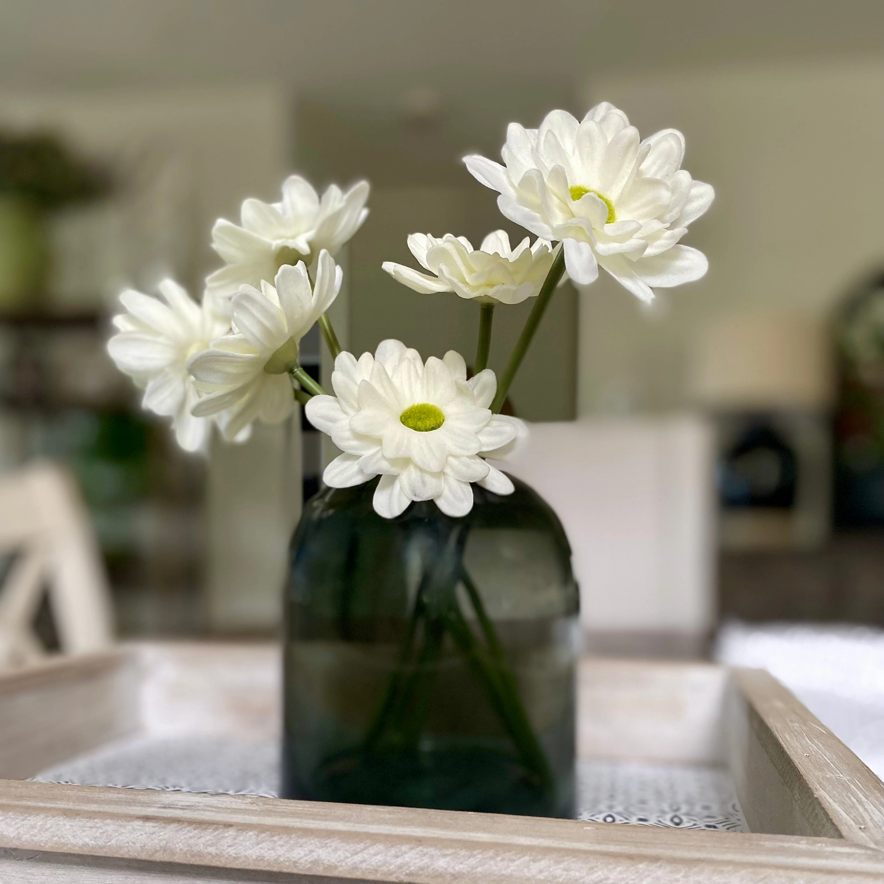 White Daisy Bundle xl flower pot  