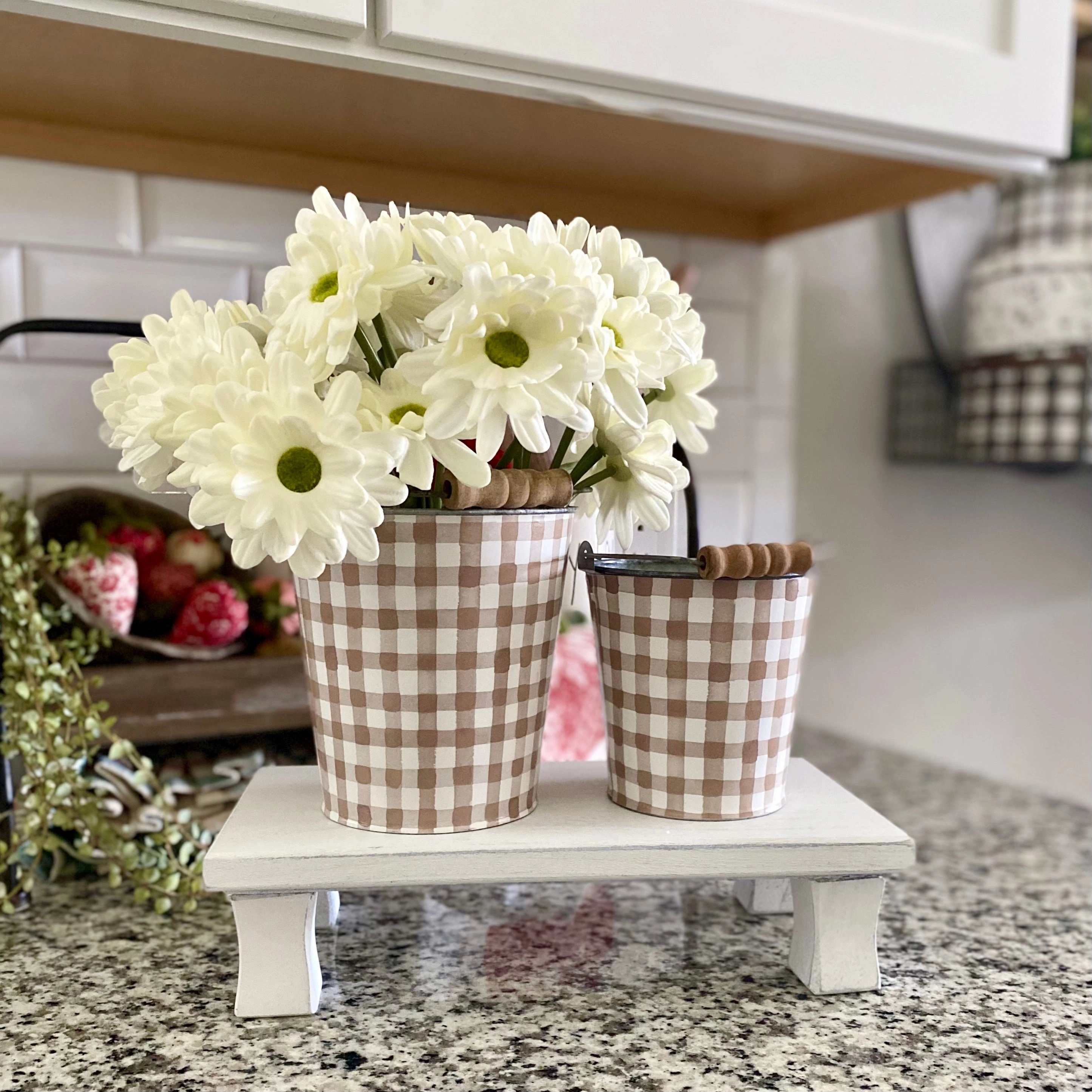 White Daisy Bundle