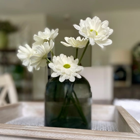 White Daisy Bundle xl flower pot  