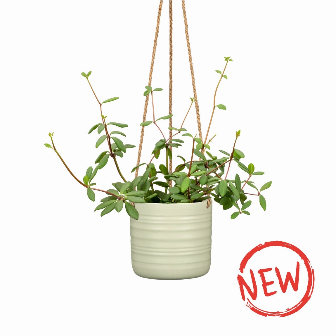 White Hanging Ceramic Pot  Soft Wool 450