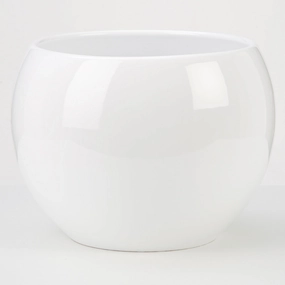 White Indoor Ceramic Cover Pot Alaska weiss (740) tall green plant  