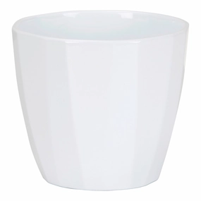 White Indoor Ceramic Cover Pot Alaska weiss  (939) tall green plant  