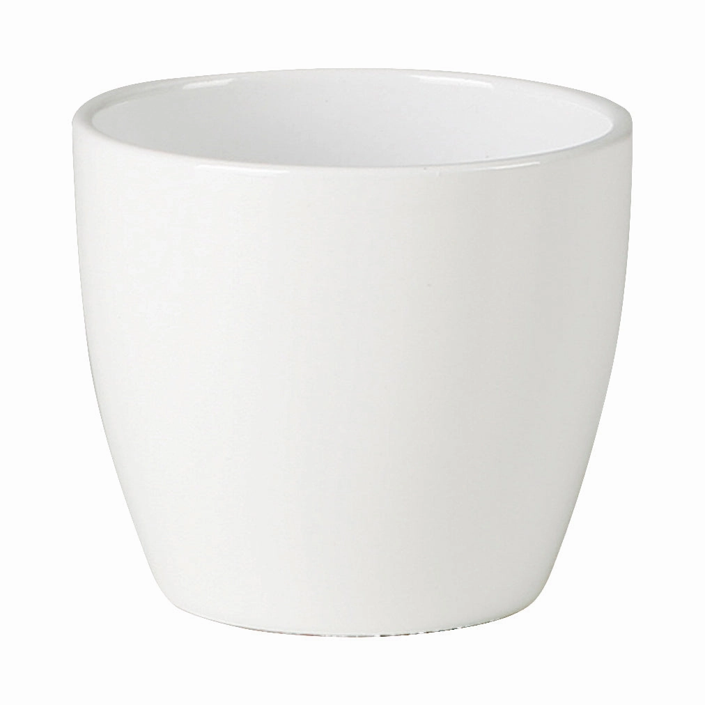 White Indoor Ceramic Cover Pot Alska weiss (920) tall green plant  