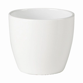 White Indoor Ceramic Cover Pot Alska weiss (920) tall green plant  