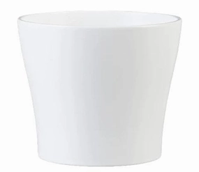 White Indoor Ceramic Cover Pot Panna (808) tall green plant  
