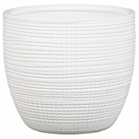 White Indoor Ceramic Cover Pot Panna (866) tall green plant  