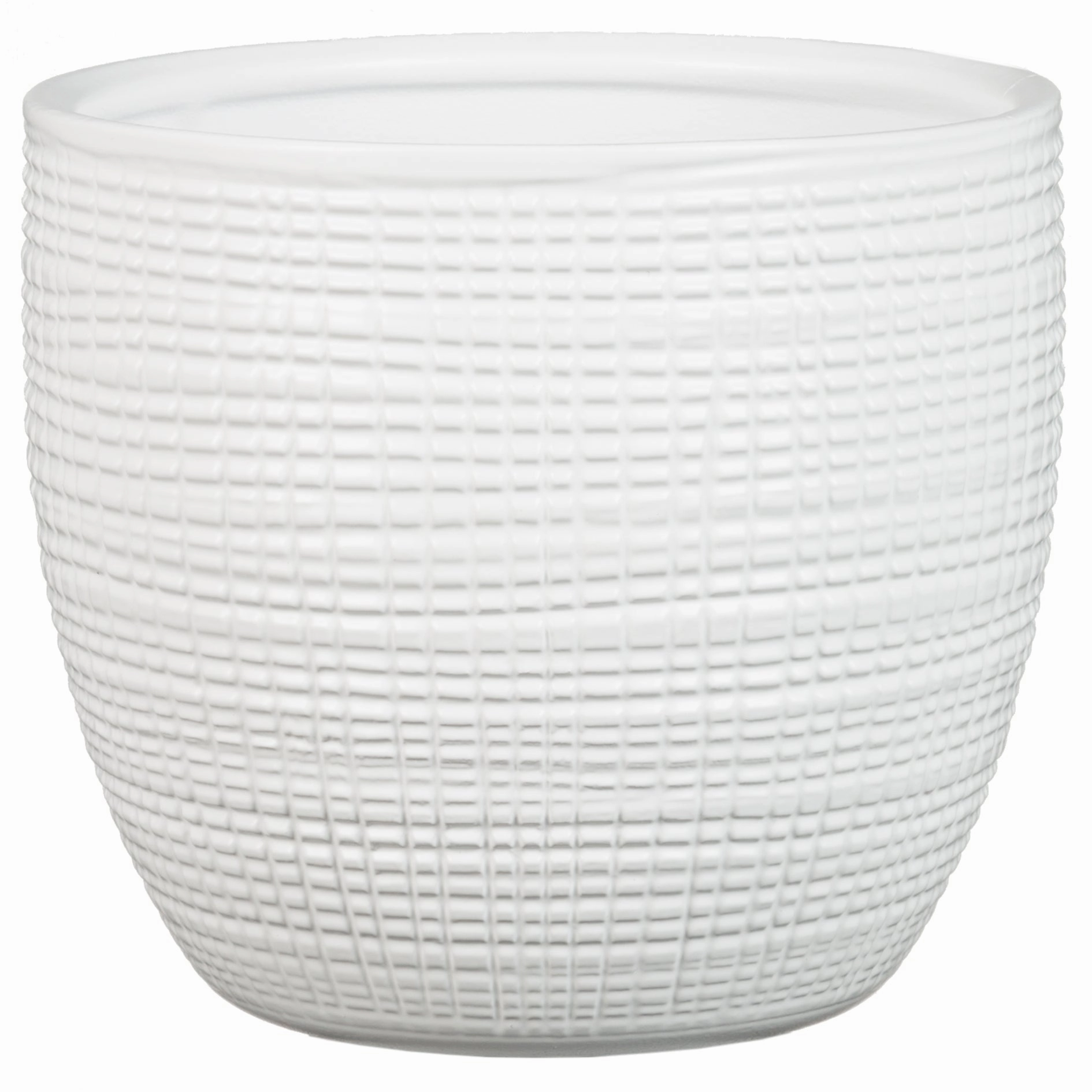 White Indoor Ceramic Cover Pot Panna (866) tall green plant  