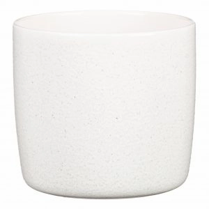 White Indoor Ceramic Cover  Pot Perla  (900) tall green plant  