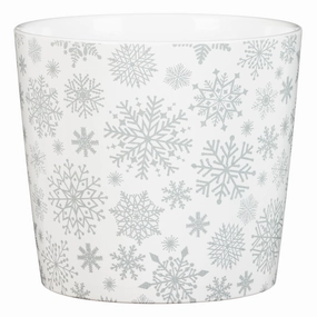 White Indoor Ceramic Cover Pot Sliver Snow (870) tall green plant  