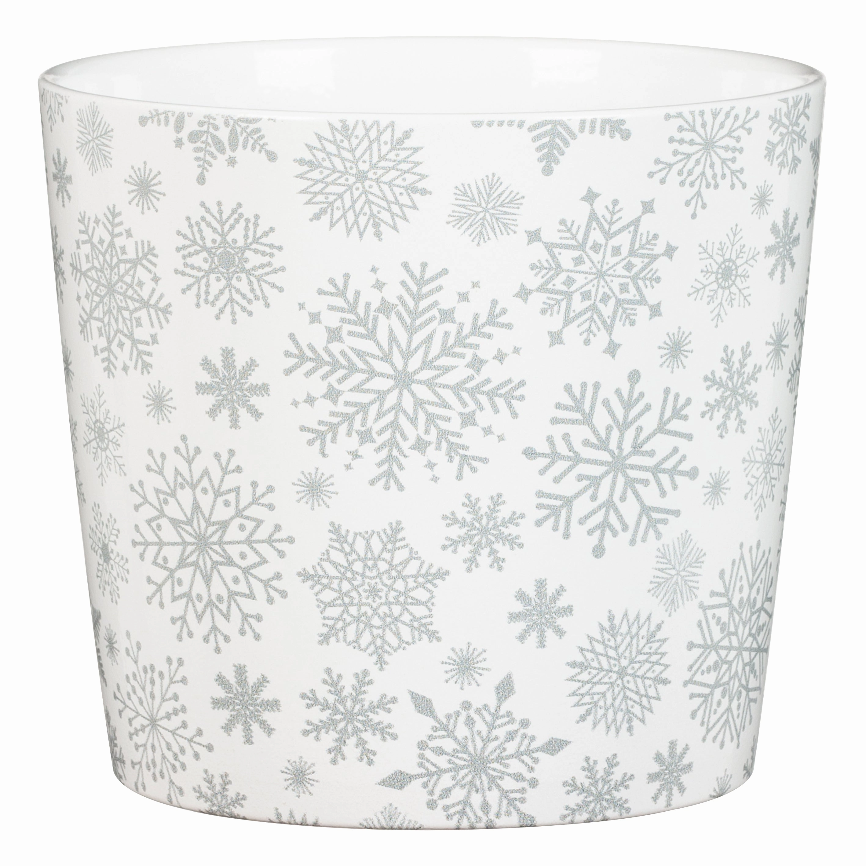 White Indoor Ceramic Cover Pot Sliver Snow (870) tall green plant  