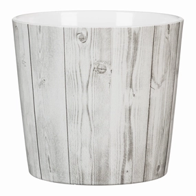 White Indoor Ceramic Cover  Pot White Timber (870) tall green plant  