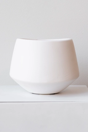 White Valve Pot 5" dried green plant  