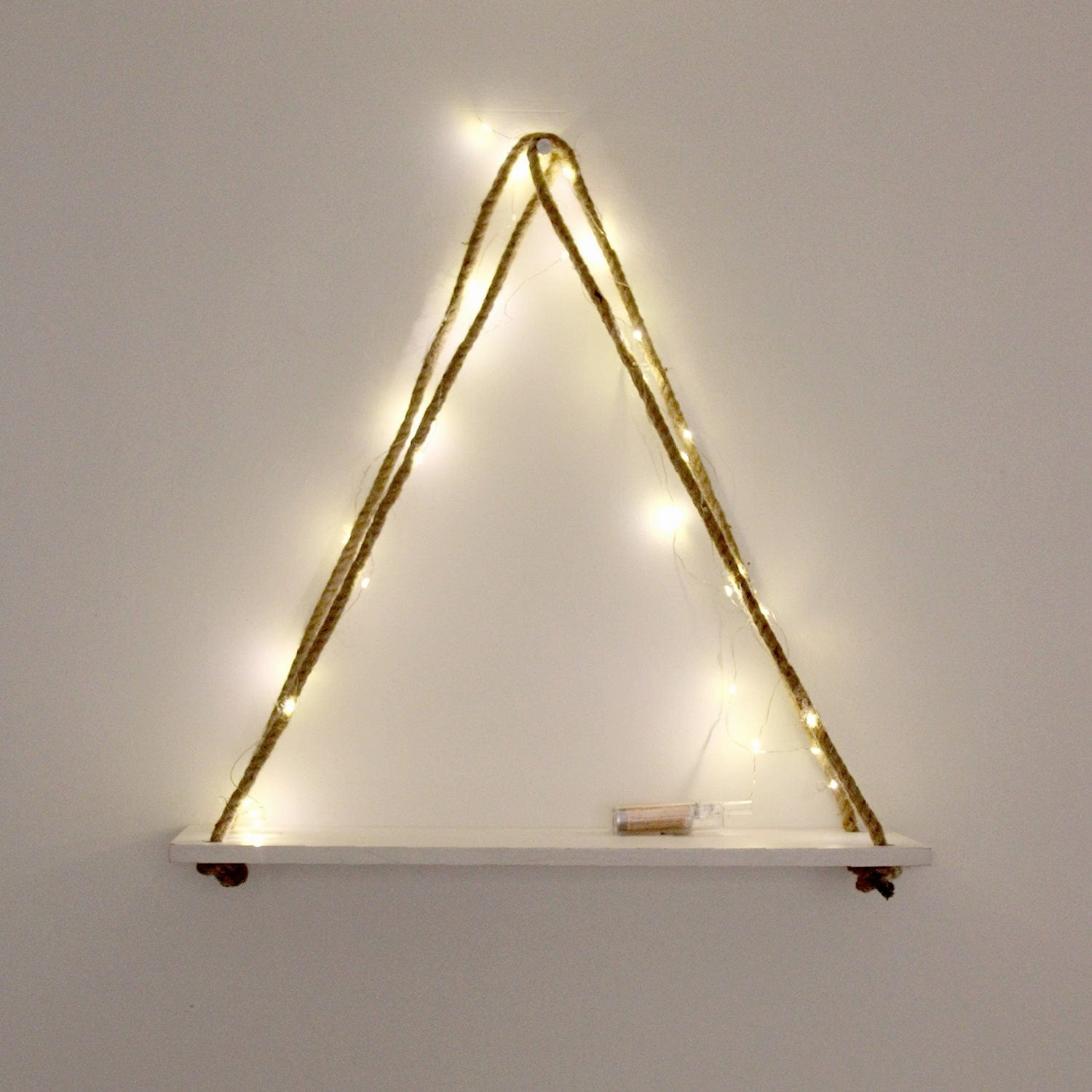 White Wall Hanging Shelf and LED Wood Floating Wall Shelves with Jute Rope cactus succulent plant  