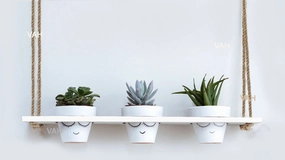 White Wooden Planter Shelf Hanger Rack with Rope For 3 Pot cactus succulent plant  