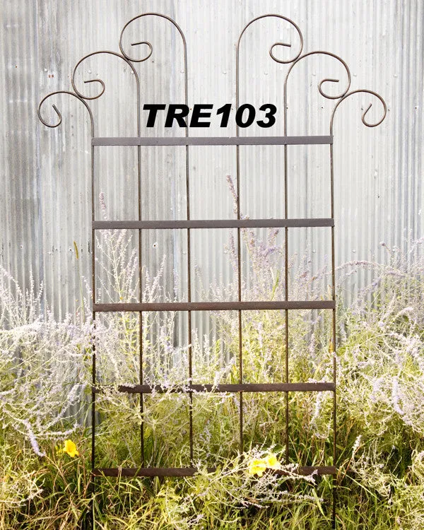 Wide Spin Trellis dried flower branch  