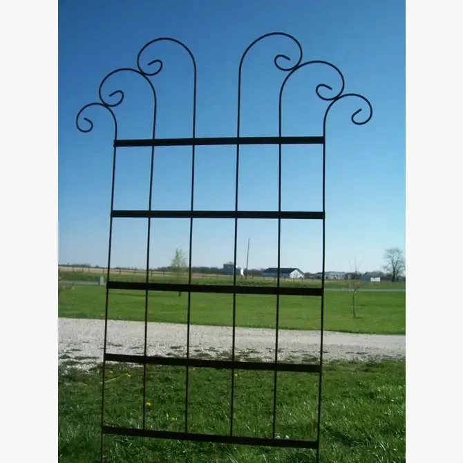 Wide Spin Trellis
