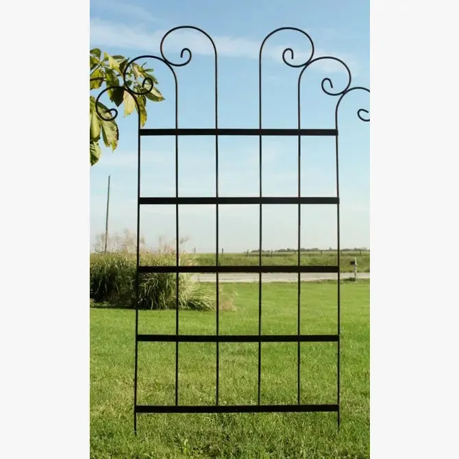 Wide Spin Trellis