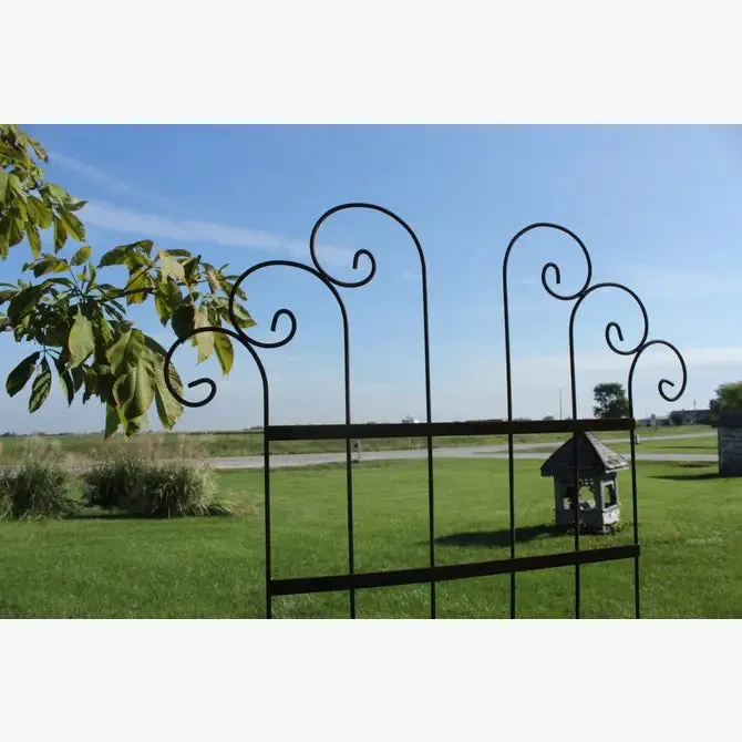 Wide Spin Trellis