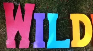 WILD 3-D Sign dried flower branch  