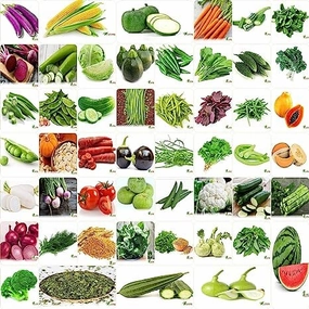 Winter & Summer Organic Vegetable Seeds- Pack of 50 small bud vase  