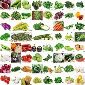 Winter & Summer Organic Vegetable Seeds- Pack of 60 small bud vase  