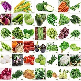 Winter & Summer Vegetable 40 Organic Seeds small bud vase  
