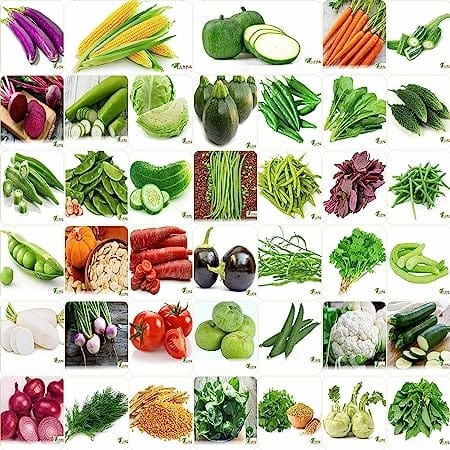 Winter & Summer Vegetable 40 Organic Seeds small bud vase  