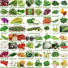 Winter & Summer Vegetable 60 Organic Seeds small bud vase  