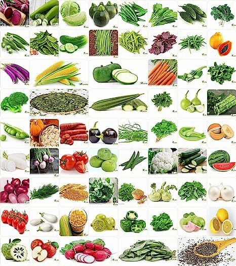 Winter & Summer Vegetable 65 Oragnic Seeds small bud vase  