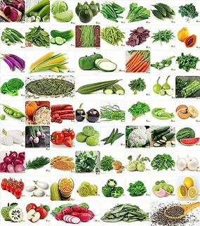 Winter & Summer Vegetable 65 Oragnic Seeds small bud vase  