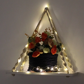 Wood Knotting Wall Hanging Shelf With LED Light cactus succulent plant  