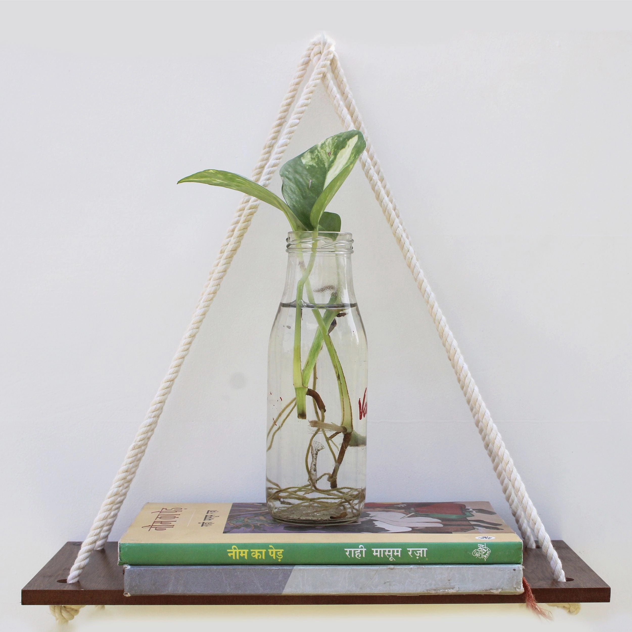 Wooden 1 Layer Wall Shelf With White Jute Rope cactus succulent plant  